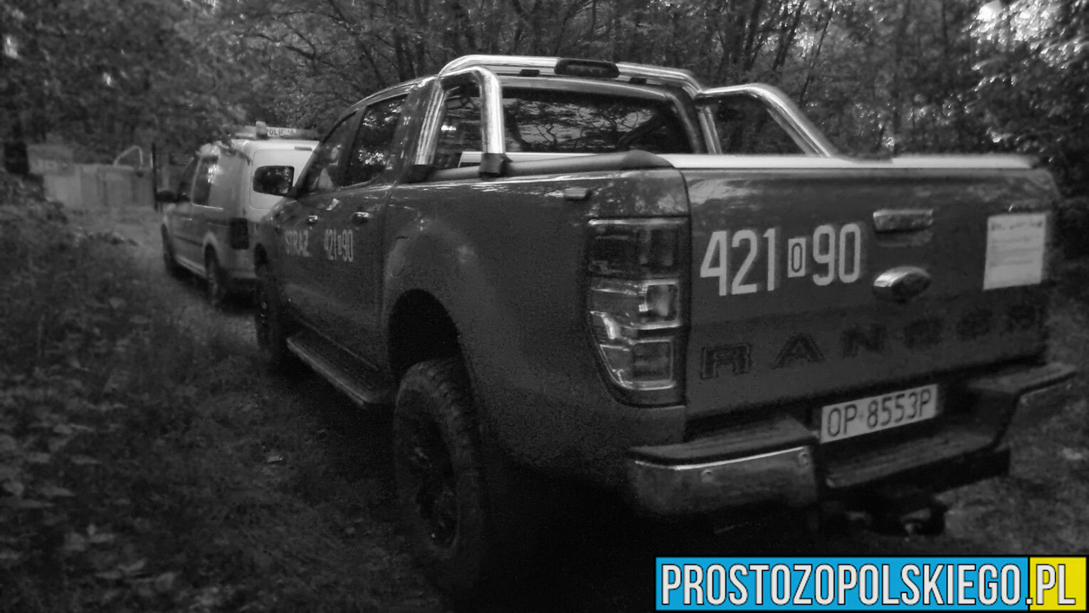 Ciało mężczyzny znaleziono w lesie na osiedlu Azoty w Kędzierzynie Koźlu.