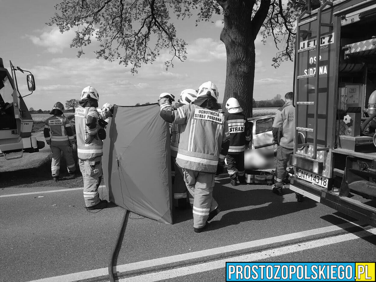 Policjanci wyjaśniają okoliczności śmiertelnego wypadku 23-latki na DK46 na trasie Sidzina-Malerzowice Wielkie.