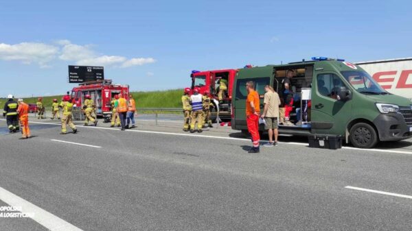 Pożar autobusu na A4. Pierwsi na miejscu byli ratownicy medyczni z 10 Opolskiej Brygady Logistycznej.(Zdjęcia)
