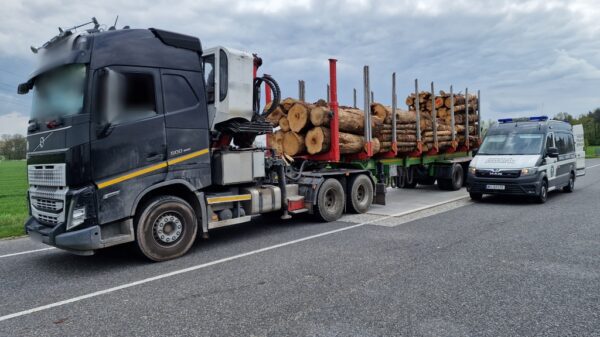 O ponad 8 ton była przeładowana ciężarówka przewożąca drewno.