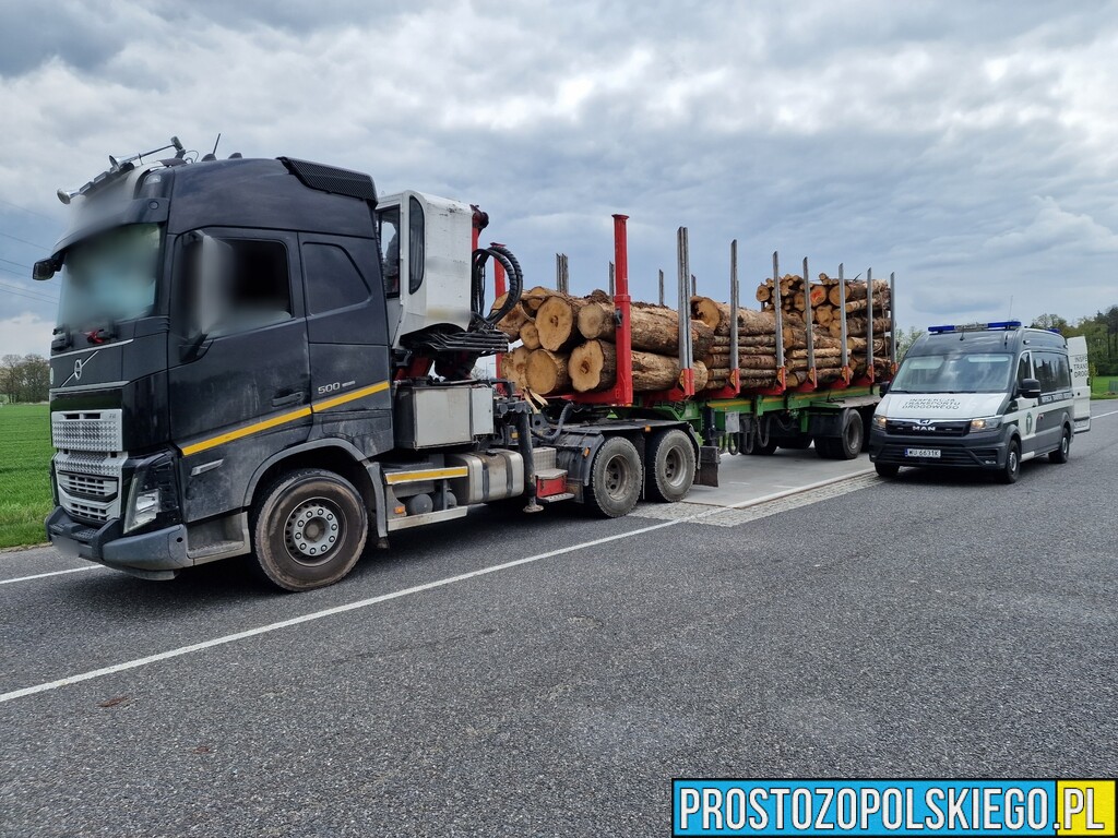O ponad 8 ton była przeładowana ciężarówka przewożąca drewno.