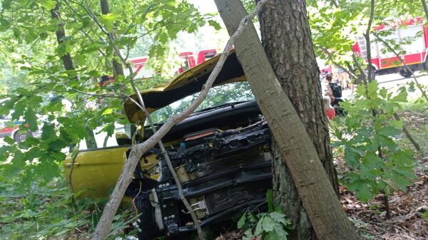 Schodnia koło Ozimka. Zderzenie dwóch samochodów jeden z nich uderzył w drzewo.(Zdjęcia)