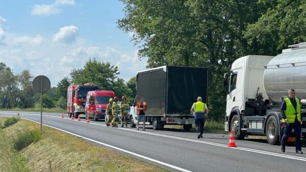 Zderzenie ciężarówki z dostawczakiem na DK11 pomiędzy Gołkowicami i Kostowem.