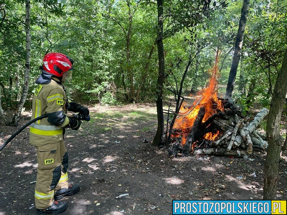 Nieodpowiedzialni ludzie rozpalili ognisko w środku lasu w Kędzierzynie Koźlu !!!