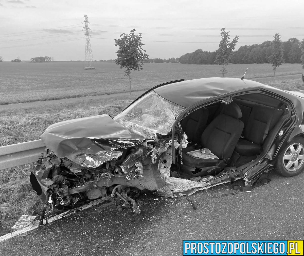 Policjanci wyjaśniają okoliczności wypadku śmiertelnego na DK40 między miejscowością Głuchołazy - Charbielin.(Zdjęcia)