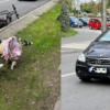 Potrącenie 26-latki na oznakowanym przejeździe rowerowym w centrum Opola. Autem kierował 81-latek.(Zdjecia&Wideo)