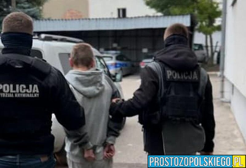 Policjanci z Namysłowa zatrzymali 36-latka ,który potrącił kobietę i odjechał z miejsca zdarzenia.(Wideo)
