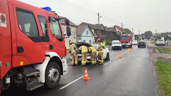 Zderzenie dostawczaka z hondą na ulicy Wygonowej w Opolu.(Zdjecia&Wideo)