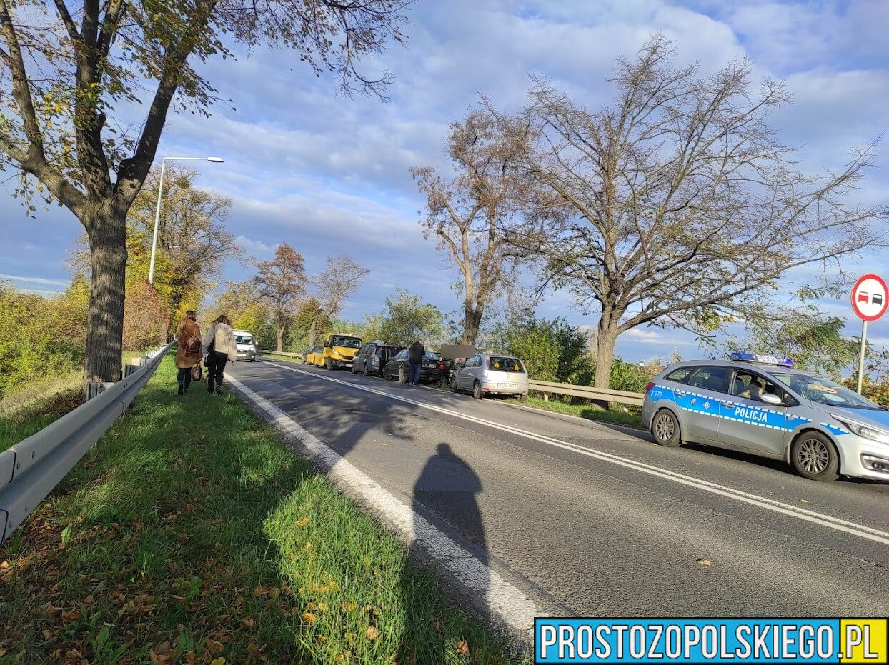 Zderzenie trzech samochodów na wiadukcie w Opolu.(Zdjęcia)