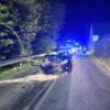 Kierujący samochodem osobowym najechał na powalone drzewo w Leśnicy.(Zdjęcia)
