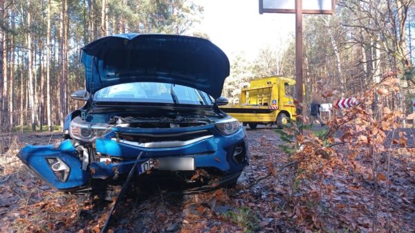 Kierujący autem stracił panowanie nad pojazdem i uderzył w drzewo.(Zdjęcia)