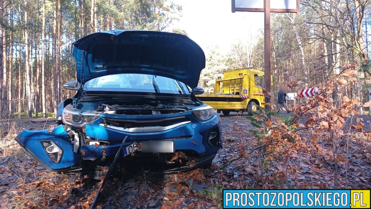 Kierujący autem stracił panowanie nad pojazdem i uderzył w drzewo.(Zdjęcia)