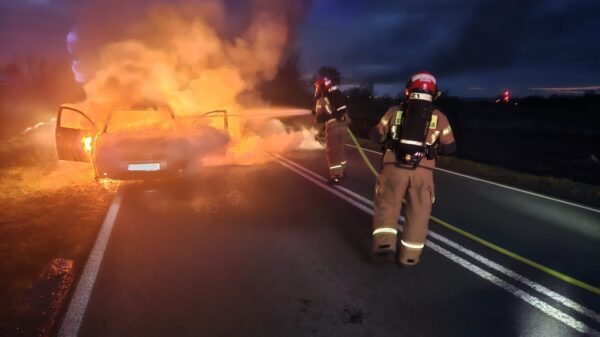 Pożar samochodu osobowego w miejscowości Żywocice.(Zdjęcia)