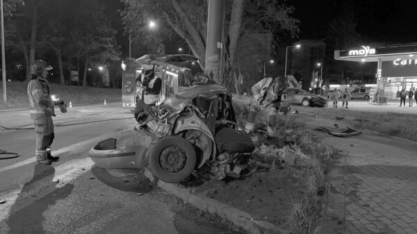 W wypadku zginał 18-latek obywatel Ukrainy. Kierowca był pijany. (Zdjęcia&Wideo)