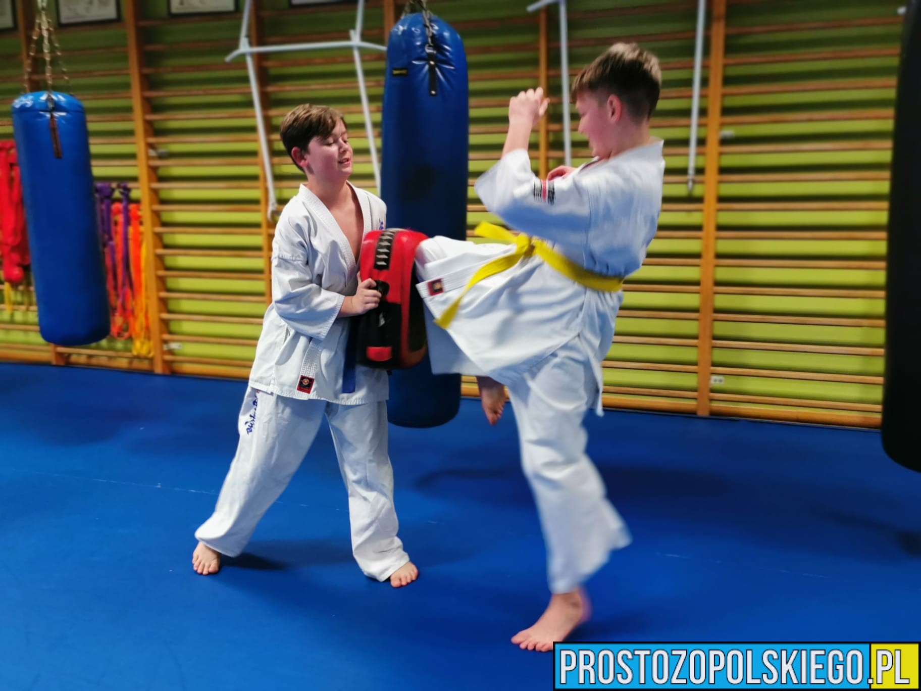 Karatecy biedzą walczyć o medale w Chrząstowicach koło Opola.