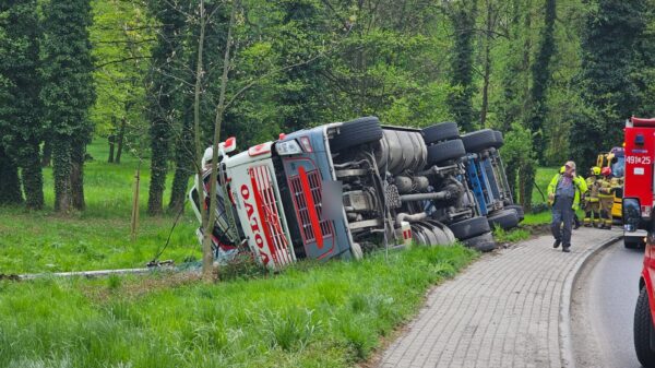 Wypadek ciężarówki w Strzelcach Opolskich na ul. Parkowej. (Zdjęcia)