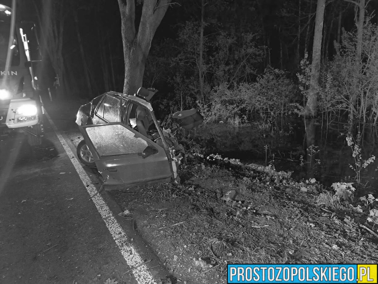 Wypadek samochodowy w Jastrzygowicach w powiecie oleskim. Nie żyje 25-letni kierowca skody .(Zdjęcia)