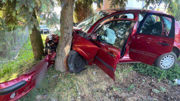 Michalice : samochód osobowy uderzył w drzewo . Dwie osoby poszkodowane.