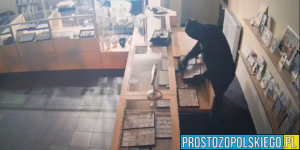 Policjanci poszukują sprawców kradzieży z włamaniem do jubilera w Strzelcach Opolskich.(Zdjęcia&Wideo)