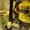 Zatrzymany za uprawę znacznej ilości konopi i posiadanie sprzętu do ich wytwarzania