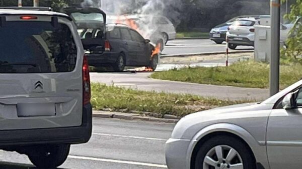 Pożar samochodu na ul. Wrocławskiej w Opolu. Na szczęście nikt nie ucierpiał