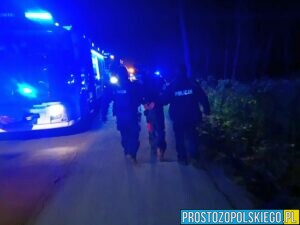 zatrzymany poszukiwany, pod wpływem, policja, wypadek, osp czarnowąsy, pijany mężczyzna spowodował wypadek w Czarnowąsy Brynica zabrany w kajdankach przez policje 