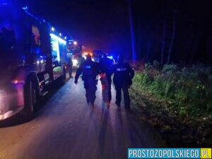 zatrzymany poszukiwany, pod wpływem, policja, wypadek, osp czarnowąsy, pijany mężczyzna spowodował wypadek w Czarnowąsy Brynica zabrany w kajdankach przez policje 