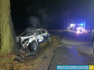 wypadek, pożąr samochodu, uderztył w drzewo i zapalił się, pożąr auta, spalone auto, autem w drzewo, pożar samochodu osobowego, prostozopolskiego.pl, 
