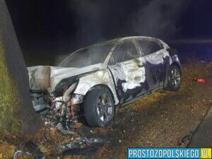 wypadek, pożąr samochodu, uderztył w drzewo i zapalił się, pożąr auta, spalone auto, autem w drzewo, pożar samochodu osobowego, prostozopolskiego.pl, lasowice wielkie, gronowice, 