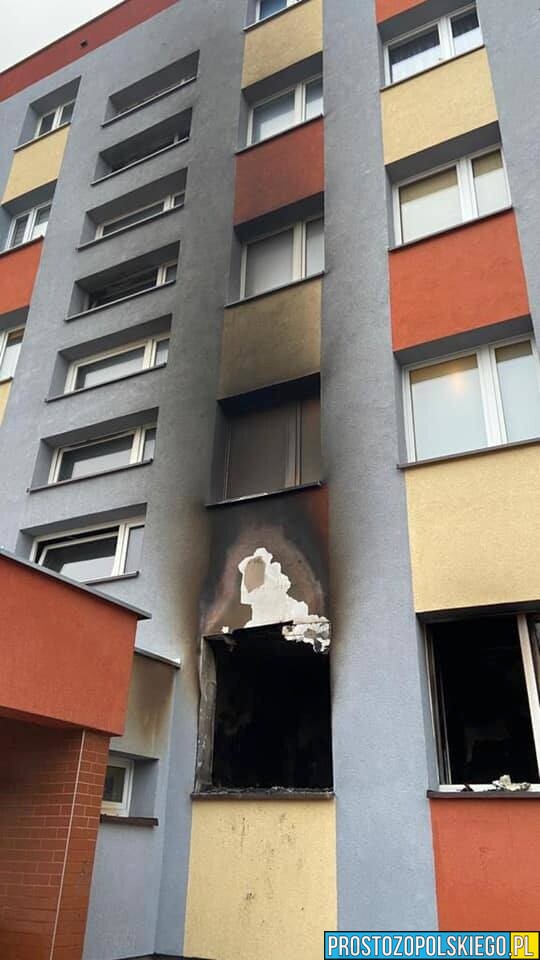 Mieszkanie spłonęło doszczętnie. Jedna osoba została poszkodowana zabrana do szpitala. Wszystko miało miejsce...