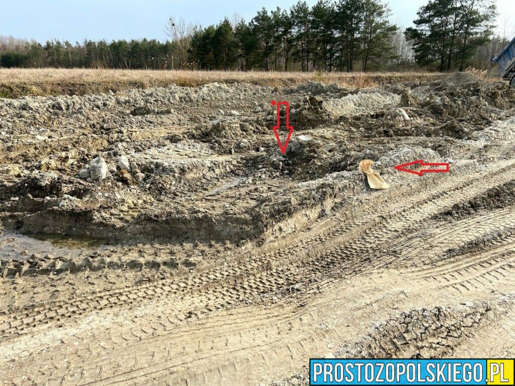 Ludzkie szczątki zauważył jeden z kierowców ciężarówki, który przewoził ziemią z budowy.(Zdjęcia)