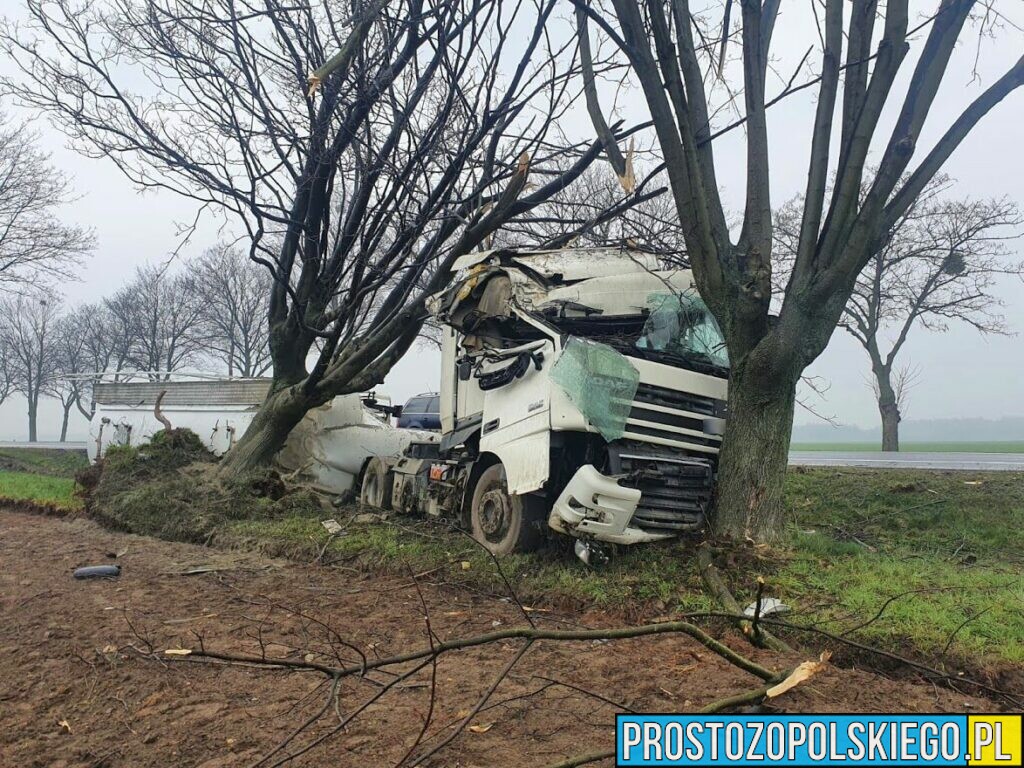 Wypadek na DK 94 pod Strzelcami Opolskimi. Ciężarówka z naczepą przewożąca cement uderzyła w drzewo.(Wideo)