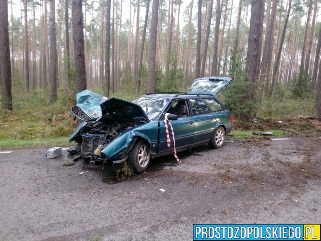 Audi uderzyło w drzewo w Polskiej Nowej Wsi pod Opolem. Policjanci ustalają kto kierował.