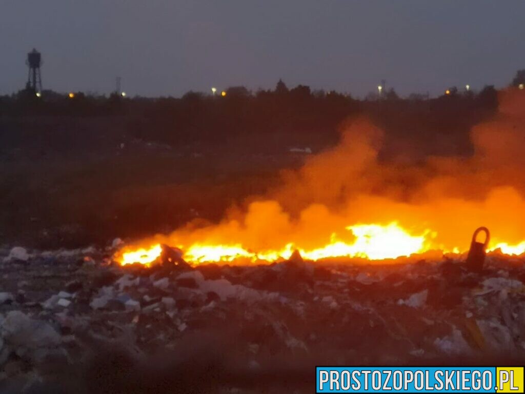 Pożar na wysypisku śmieci na ul. Podmiejskiej w Opolu.