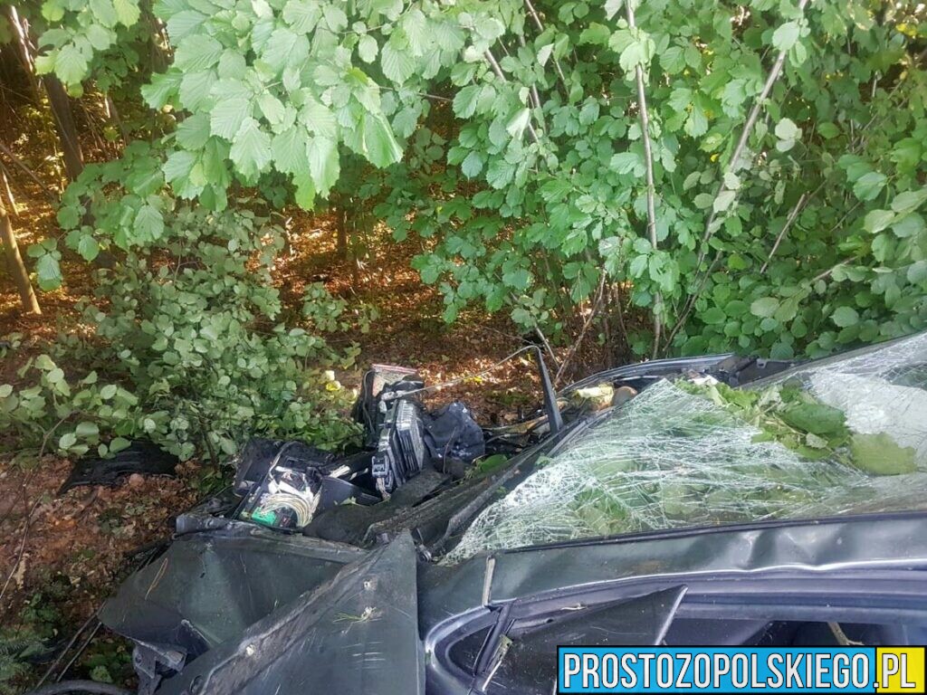 38-latek dachował autem na dw 411 w miejscowości Nowy Świętów. Badanie wykazało ponad 2,5 promila.