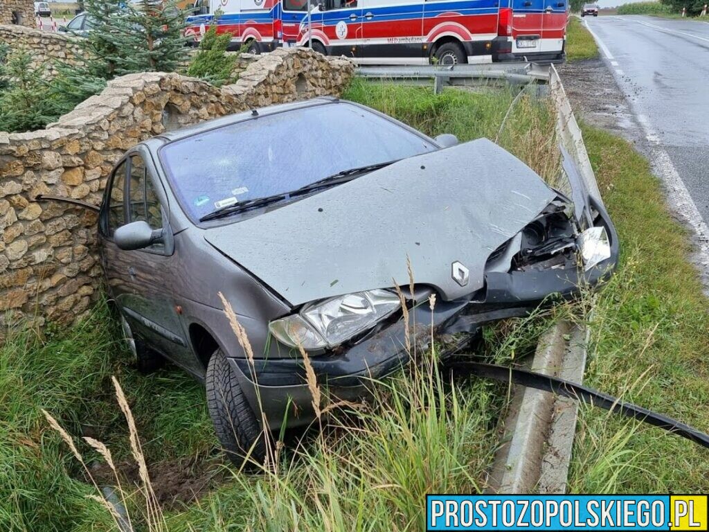 Kierujący autem stracił panowanie nad pojazdem i wpadł do rowu w Kuniowie.(Zdjęcia)