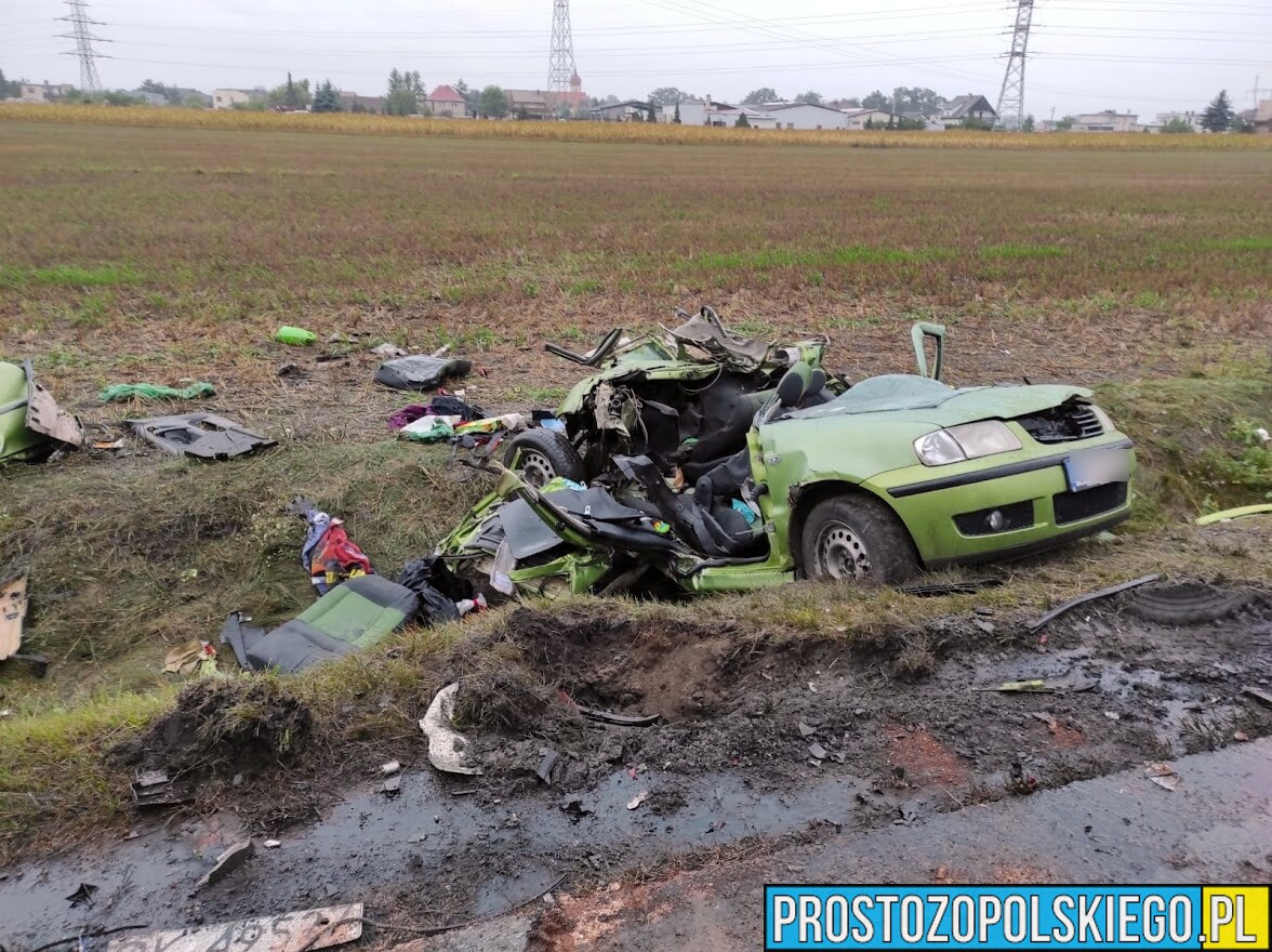 Wypadek śmiertelny na DW423 Opole-Krapkowice w miejscowości Przywory.(Wideo)