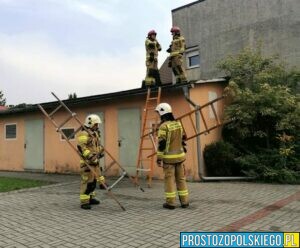 Pożar poddasza w Strzelcach Opolskich. Ranny zostało mężczyzna.(Zdjęcia)