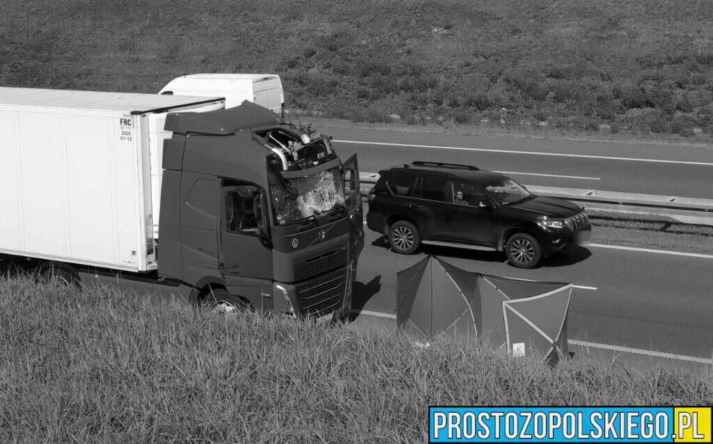 Mężczyzna skoczył z wiaduktu na autostradzie A4 i wpadł do kabiny ciężarówki.(Zdjęcia)