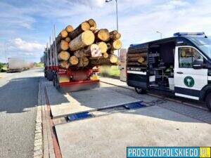 Ciężarówki z drewnem pod kontrolą WITD, według statystyk jest źle.(Zdjęcia)