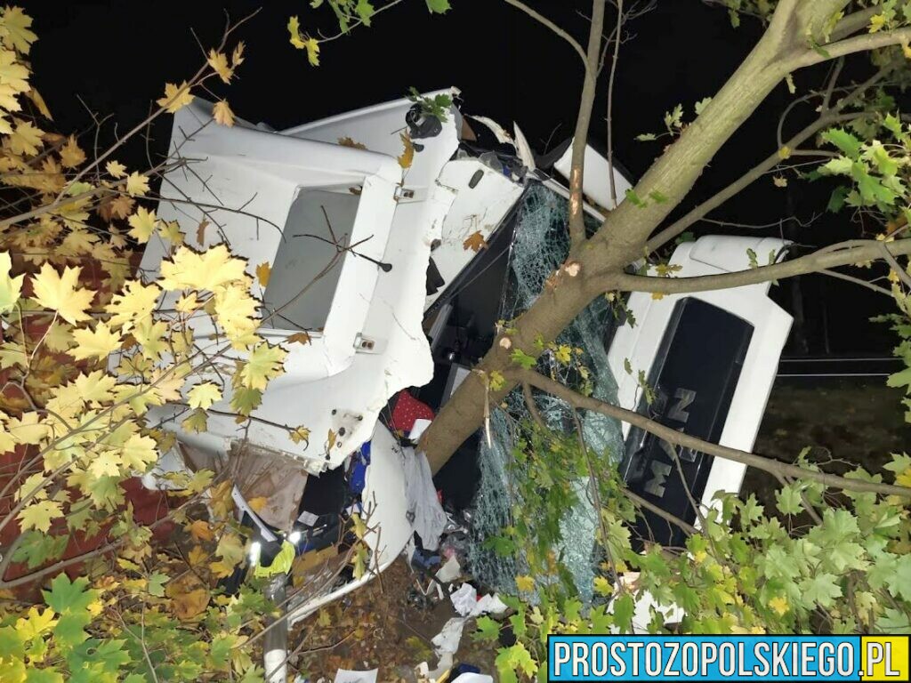 Kierujący 28-latek ciężarowym MAN-em zasnął za kierownicą , zjechał na pobocze ściął kilka drzew i wylądował w rowie.(Zdjęcia)