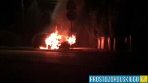 Pożar auta przy DK 39 w Lubszy w powiecie Brzeskim.