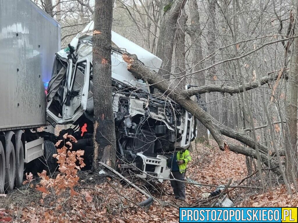 Ostukać przeznaczenie. Kierujący ciężarówka wjechał w drzewo z kabiny niewiele zostało.(Zdjęcia&Wideo)