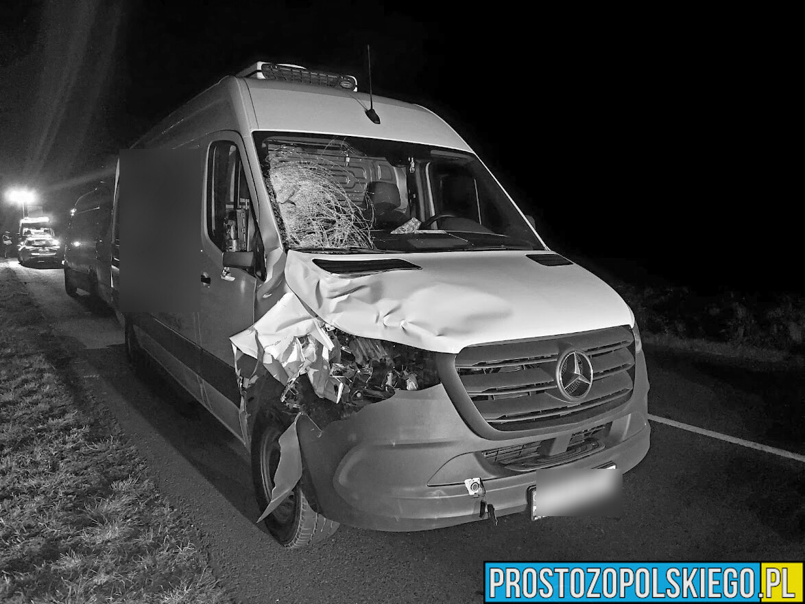 Kierujący busem śmiertelne potrącił pieszego w powiecie Nyskim.(Zdjęcia)