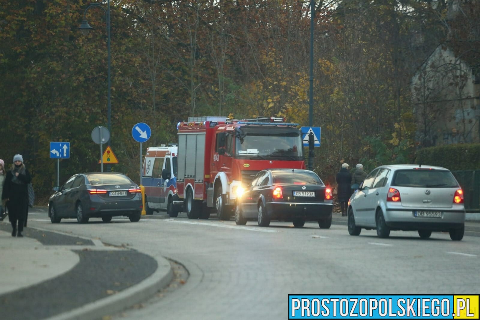Mężczyzna wpadł do rowu w Brzegu. Interweniowały służby ratunkowe.(Zdjęcia)