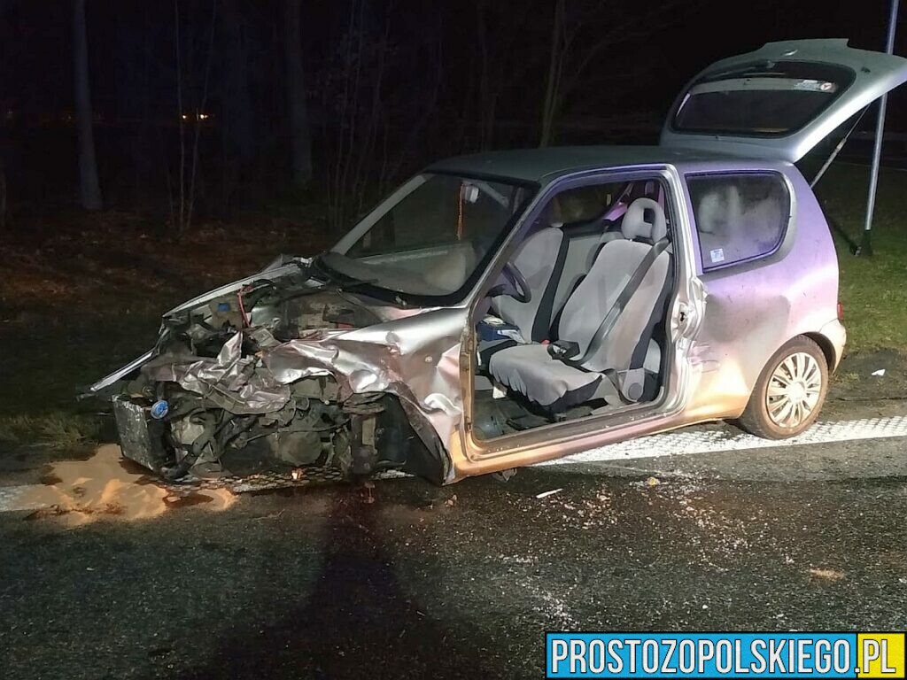 Zderzenie dwóch aut w miejscowości Schodnia na DK46.Jedna osoba została zakleszczona w pojeździe.(Zdjęcia)