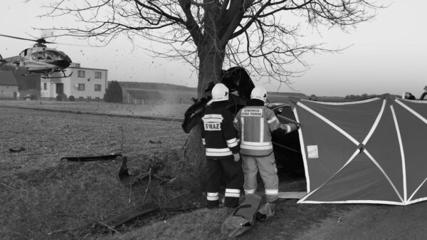 Groźny wypadek w miejscowości Smogorzów w powiecie namysłowskim. Kierujący audi wjechał do rowu i uderzył w drzewo.(Zdjęcia)
