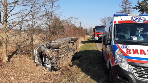 Czołowe zderzenie dwóch aut w Krogulnej w powiecie namysłowski. Kierujący toyotą 65-latek był pijany.(Zdjęcia)