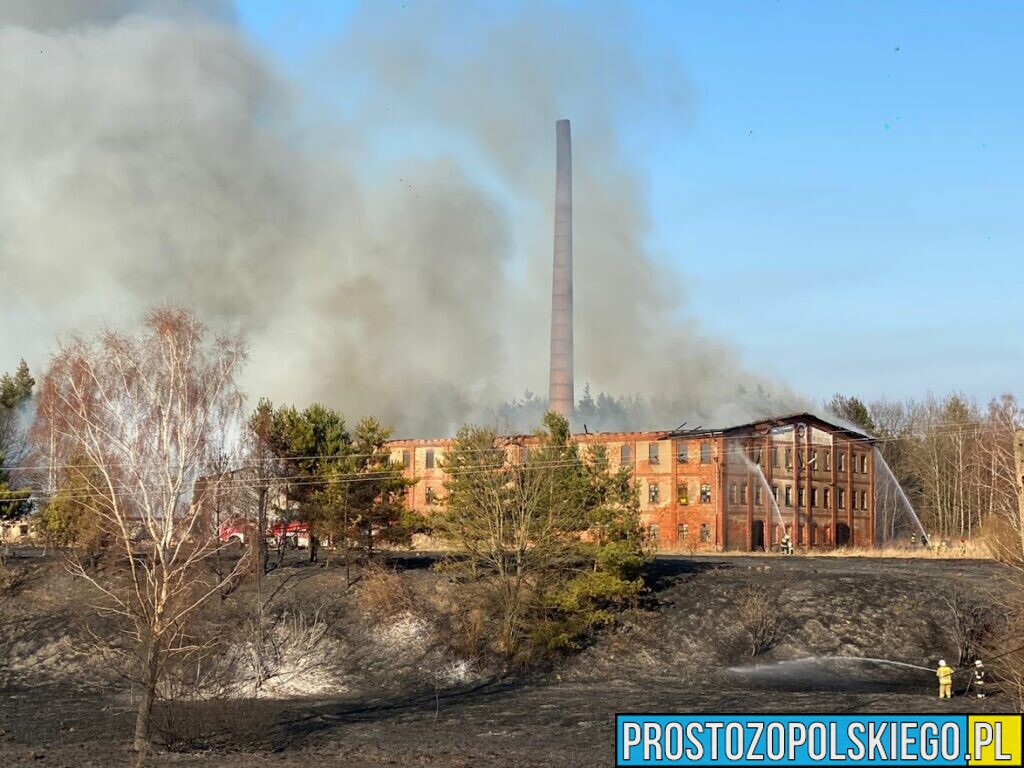 Pożar cegielni w Szydłowie. Na miejscu 16 zastępów straży. (Zdjęcia&Wideo)