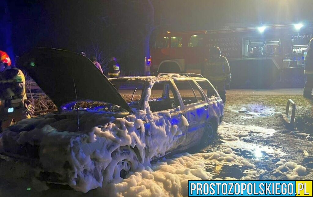 Pożar samochodu osobowego w miejscowości Paryż w powiecie namysłowskim.(Zdjęcia)